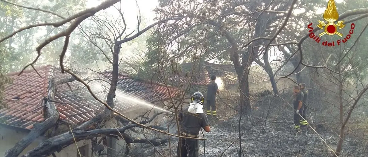 Giornata di fuoco nel Vibonese: incendi distruggono 16 ettari di boschi e macchia mediterranea