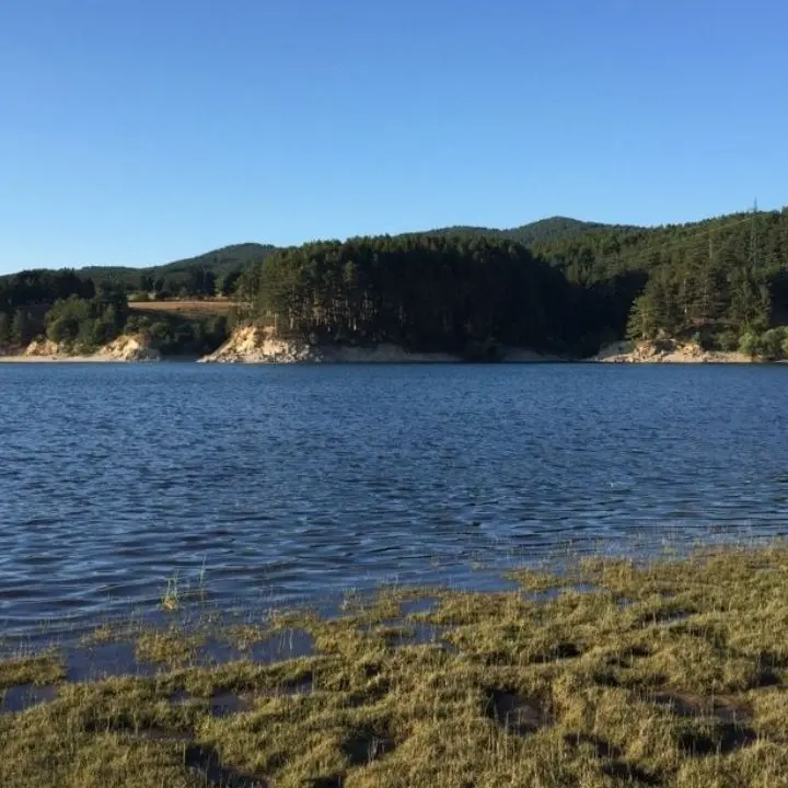Legambiente, presentati dati sul monitoraggio dei tre laghi silani: «Sono inquinati»