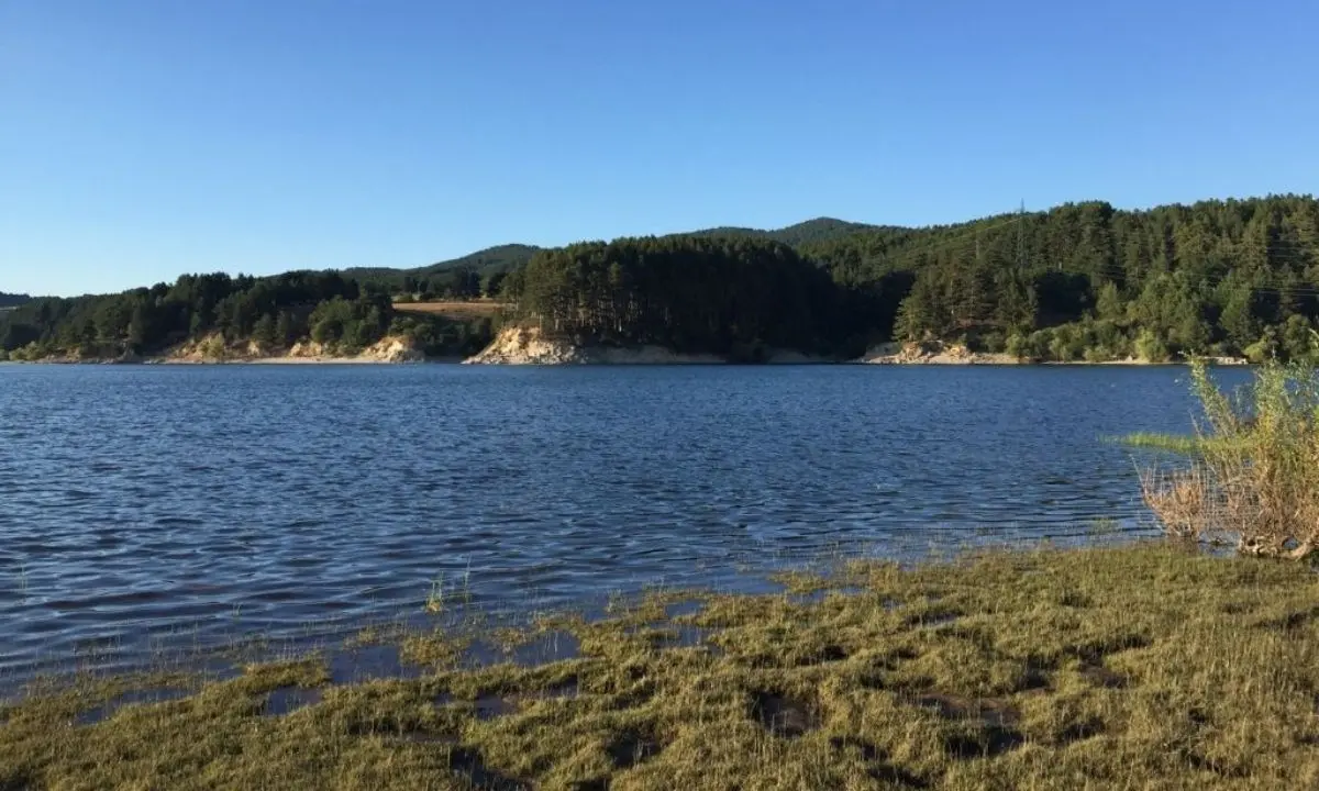 Legambiente, presentati dati sul monitoraggio dei tre laghi silani: «Sono inquinati»