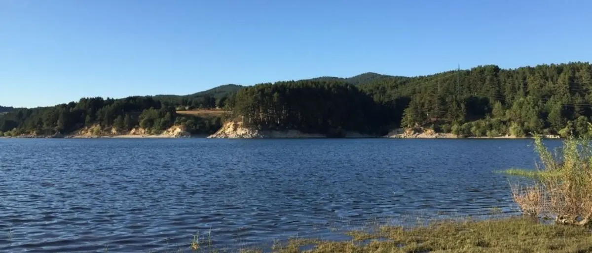 Legambiente, presentati dati sul monitoraggio dei tre laghi silani: «Sono inquinati»