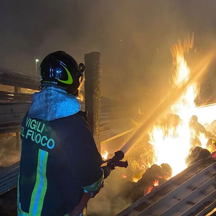 Incendi nel Reggino, riunione in prefettura: «Approntato piano per salvaguardia di cittadini»