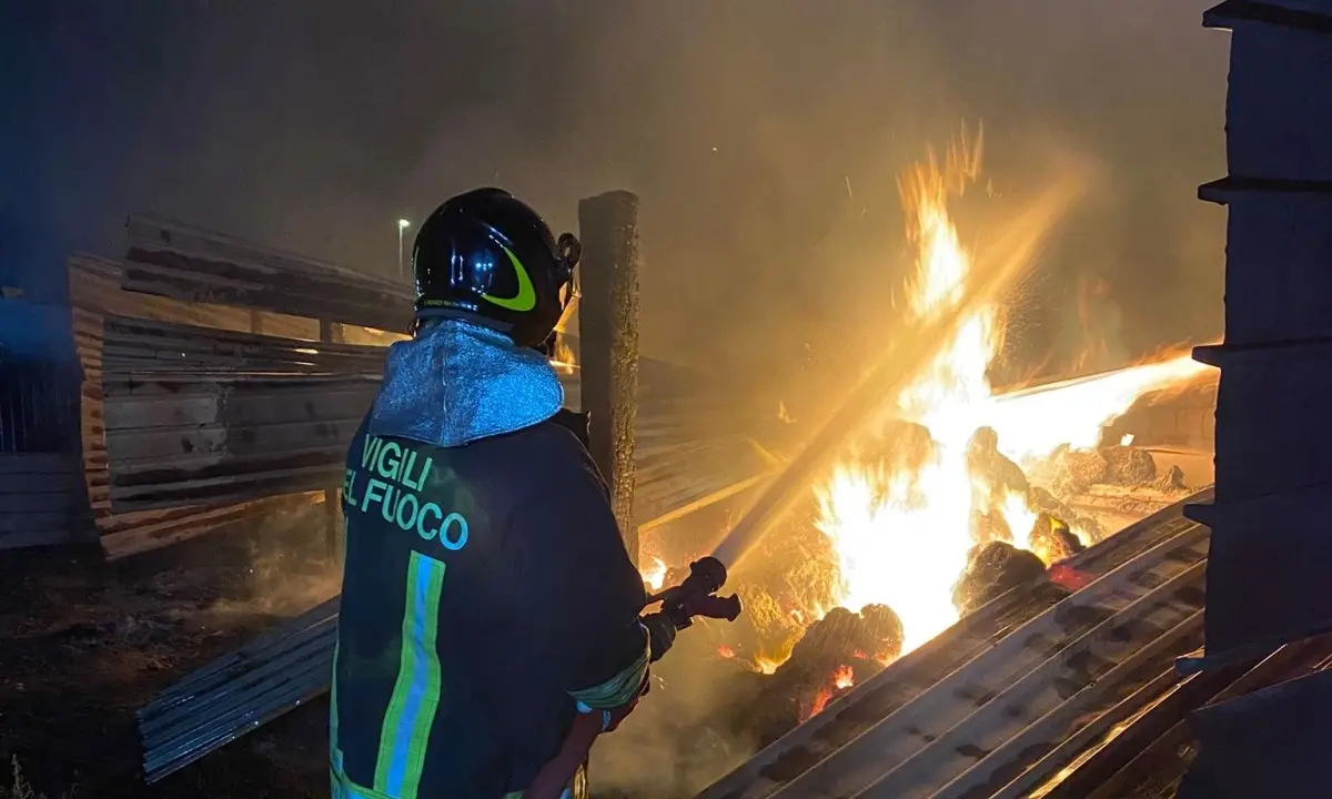 Incendi nel Reggino, riunione in prefettura: «Approntato piano per salvaguardia di cittadini»