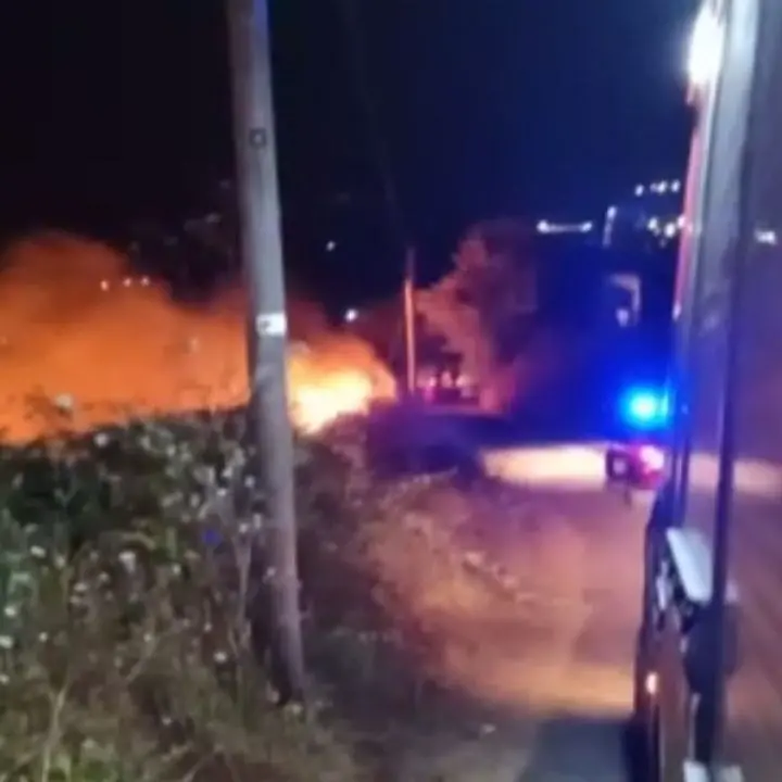 Incendi, provincia di Vibo funestata dai roghi: ieri 35 interventi dei vigili del fuoco
