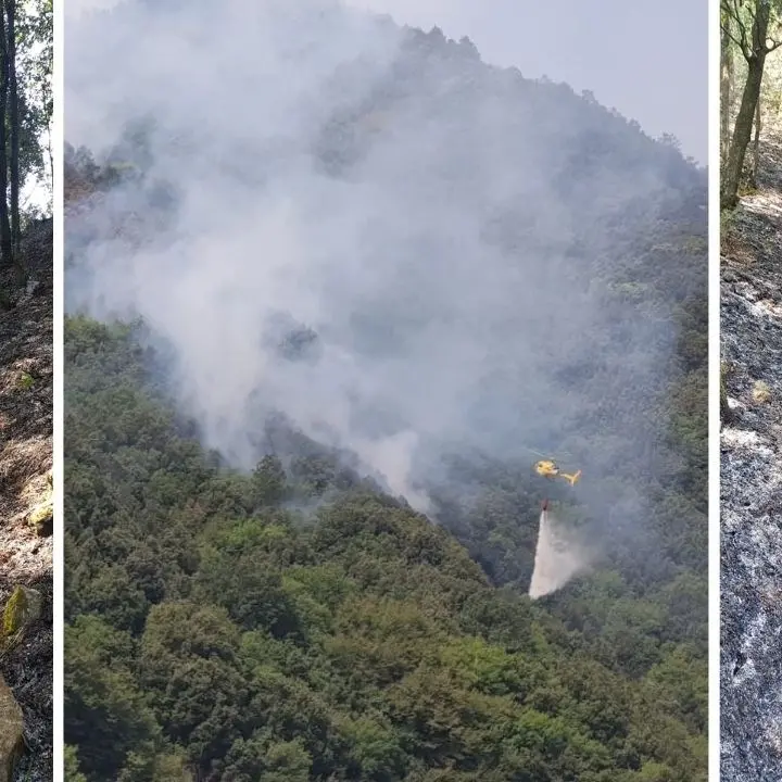 Incendi Calabria, rogo in un sentiero delle Valli Cupe. Legambiente: «Danni gravissimi alla collettività»