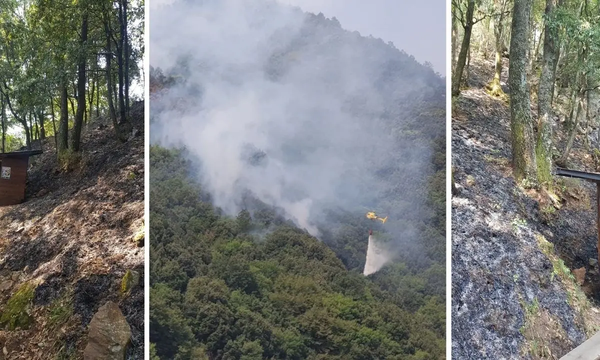 Incendi Calabria, rogo in un sentiero delle Valli Cupe. Legambiente: «Danni gravissimi alla collettività»