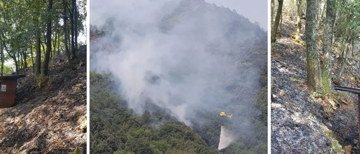 Incendi Calabria, rogo in un sentiero delle Valli Cupe. Legambiente: «Danni gravissimi alla collettività»