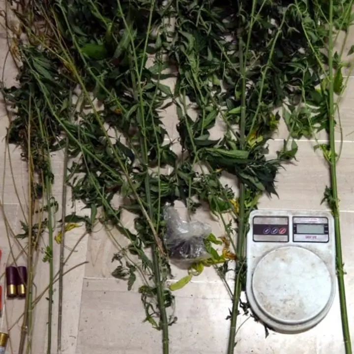 Corigliano Rossano, aveva in casa fucili e droga: arrestato 52enne