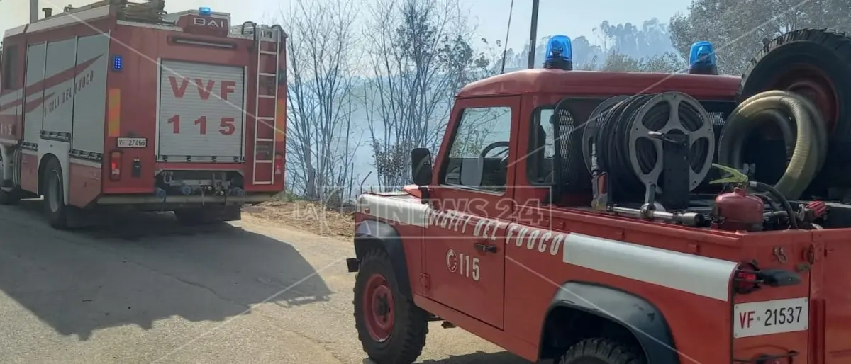 Incendi Calabria, nel Cosentino vasti roghi tra Zumpano e Rovito: lambite alcune abitazioni