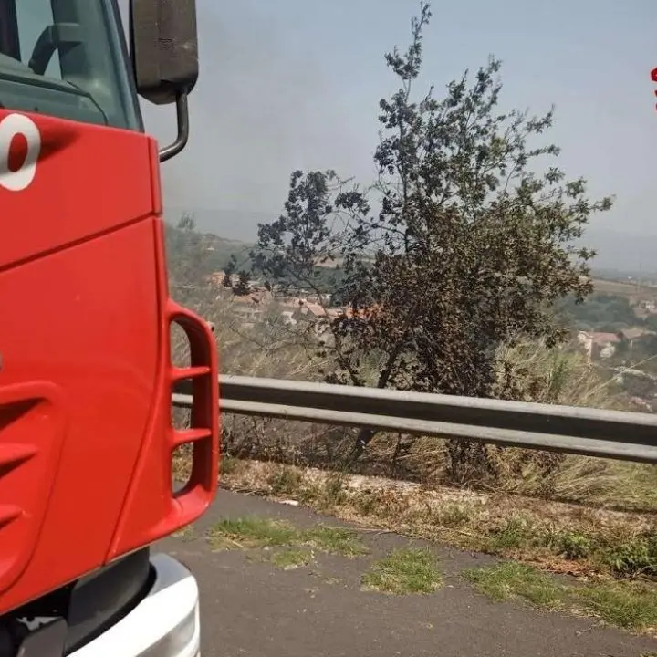 Incendi Calabria, 20 roghi nella provincia di Vibo: fiamme vicino al parco archeologico di Mileto