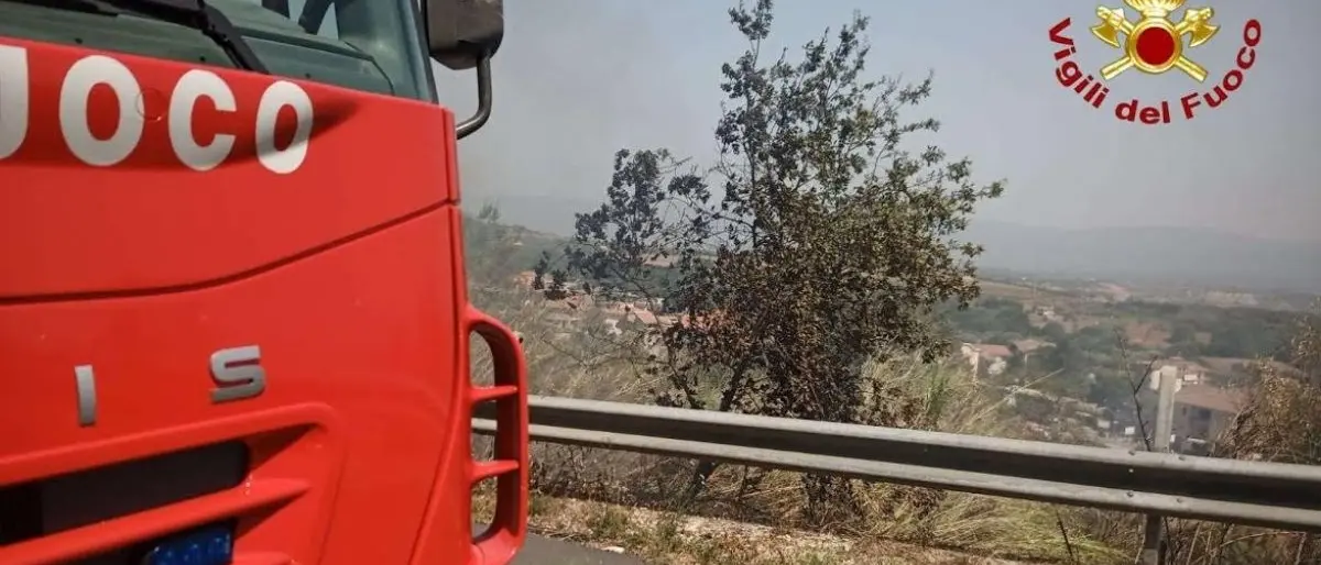Incendi Calabria, 20 roghi nella provincia di Vibo: fiamme vicino al parco archeologico di Mileto