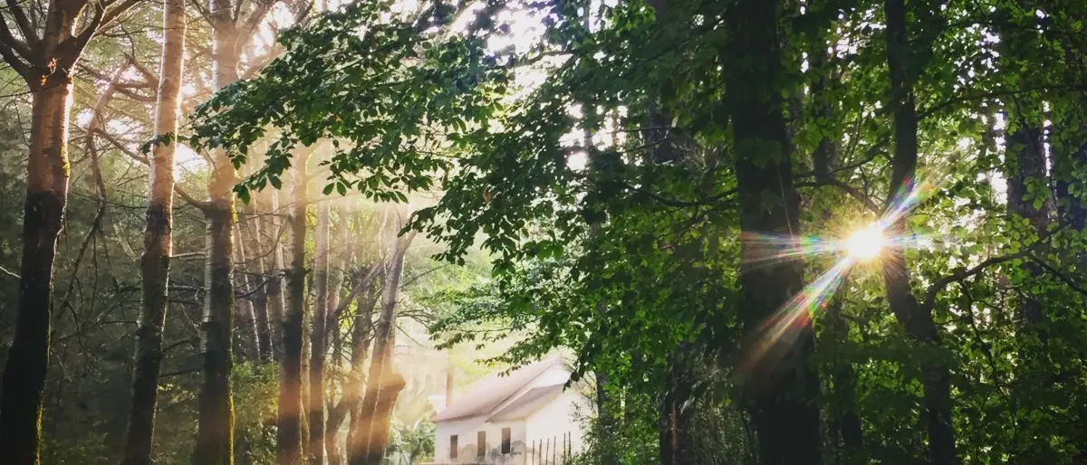 Cinque cose da fare in Sila: tra cibo, camminate e panorami mozzafiato