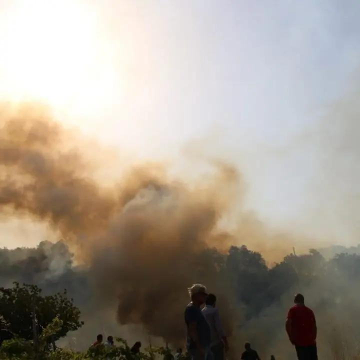 Incendi Calabria, Bevacqua: «Esiste una legge regionale, è stata applicata?»