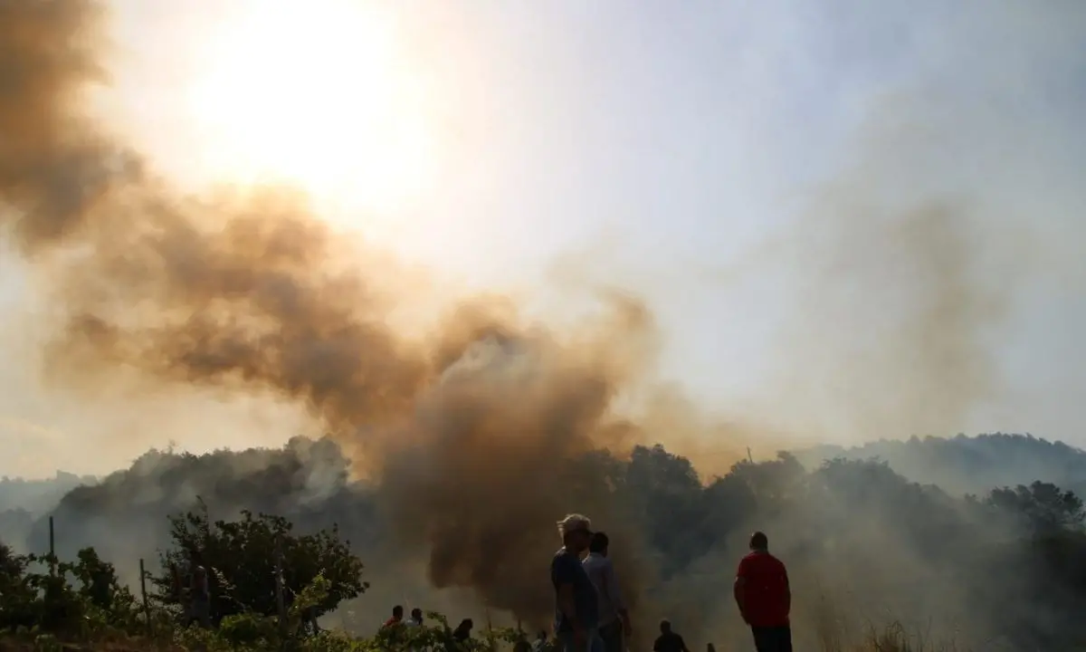 Incendi Calabria, Bevacqua: «Esiste una legge regionale, è stata applicata?»