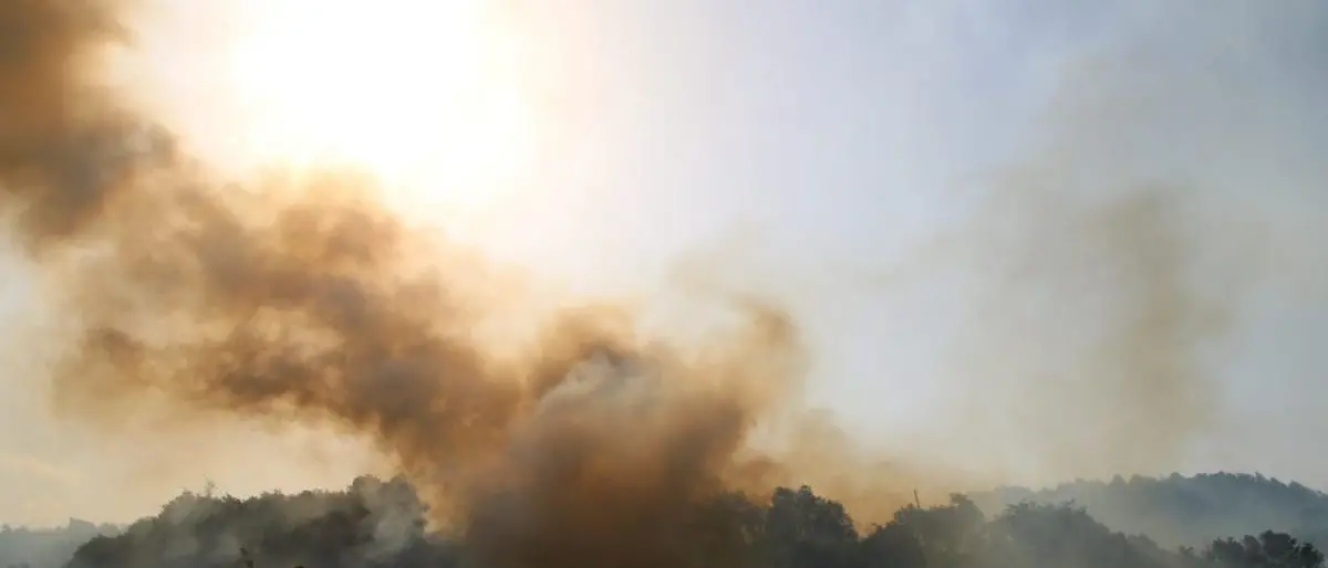 Incendi Calabria, Bevacqua: «Esiste una legge regionale, è stata applicata?»