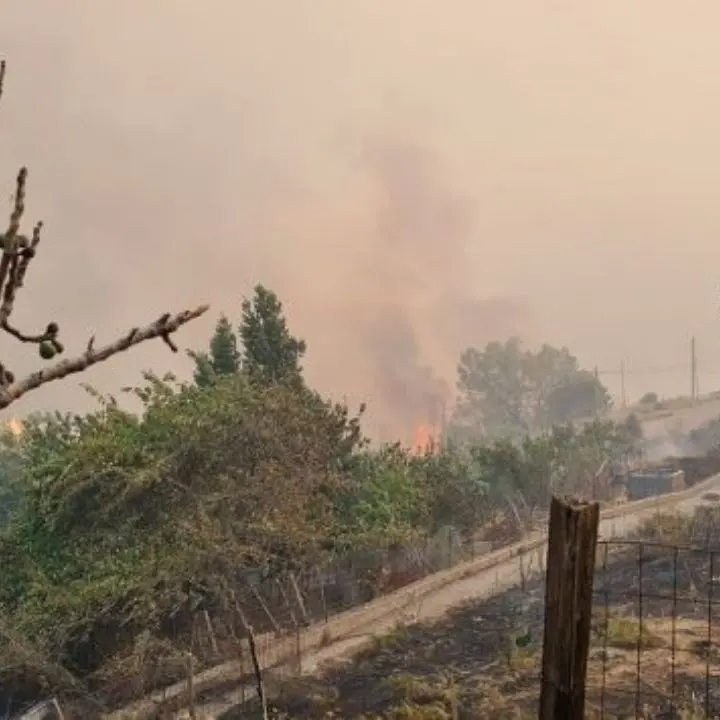 Incendio a Roccaforte del Greco, le fiamme hanno raggiunto il centro abitato