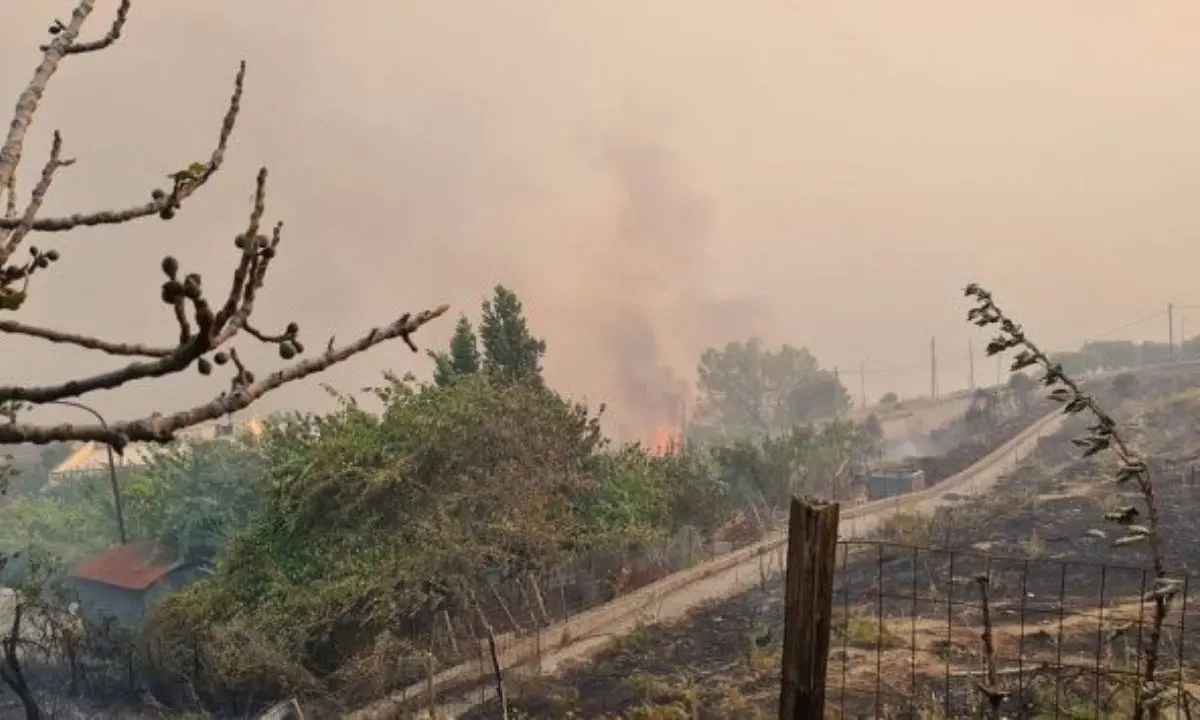 Incendio a Roccaforte del Greco, le fiamme hanno raggiunto il centro abitato