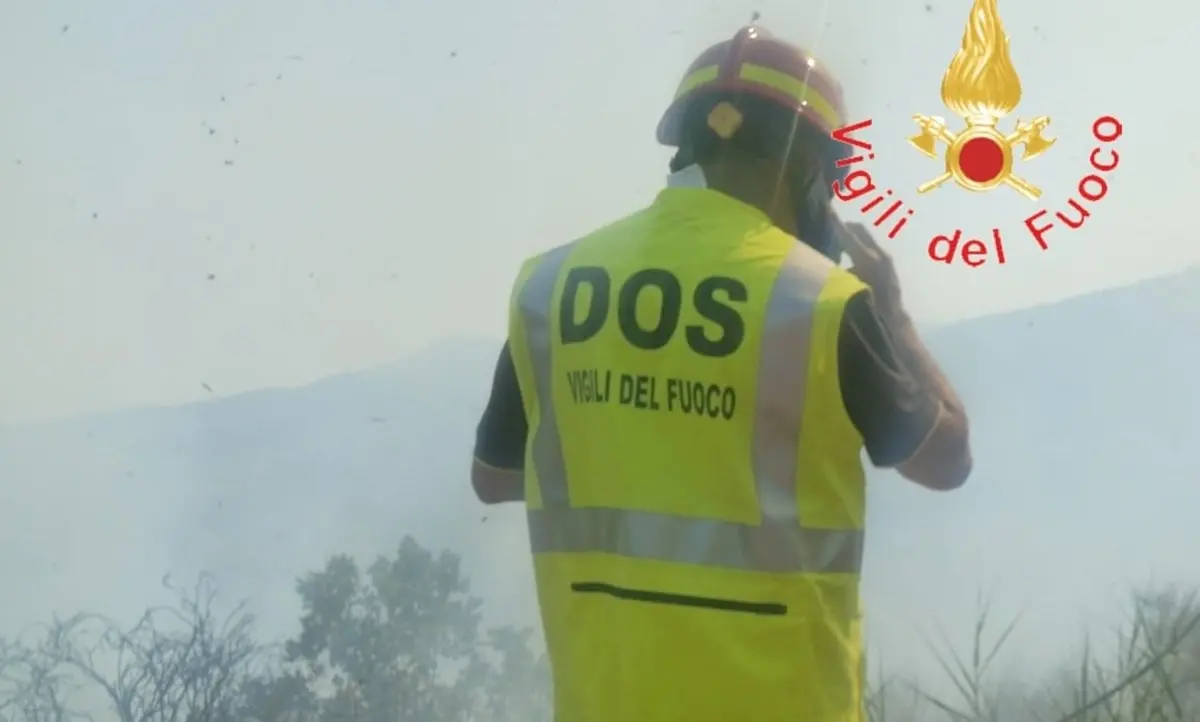 Incendi, bruciano anche le colline di Lamezia. Vigili del fuoco impegnati per ore