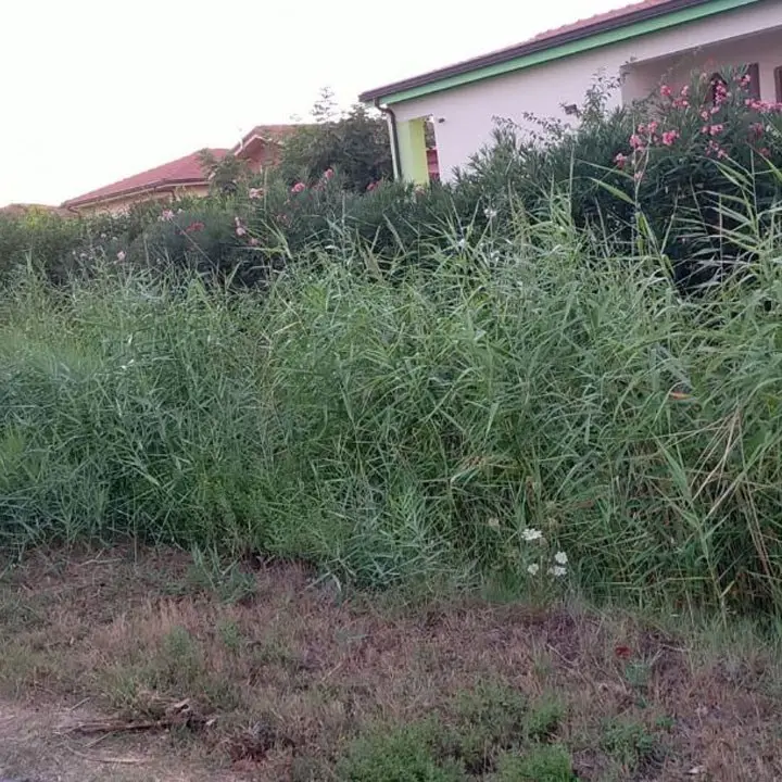 Crotone, un canale in attesa di sistemazione idraulica in un’area a rischio: la denuncia dei residenti