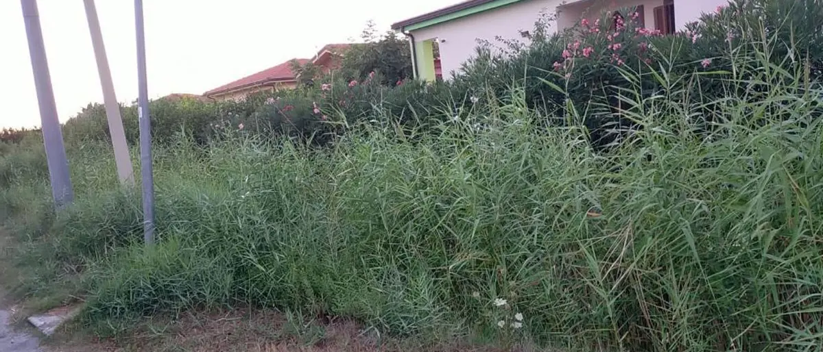 Crotone, un canale in attesa di sistemazione idraulica in un’area a rischio: la denuncia dei residenti