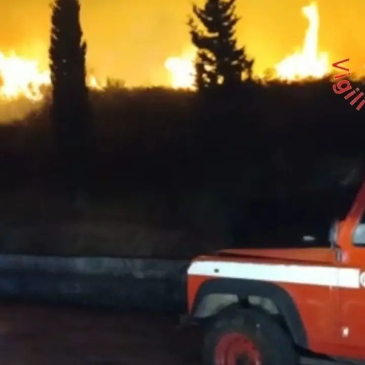 Incendi, politica e associazioni chiedono lo stato di calamità. Bruni: «Il Governo ci aiuti»