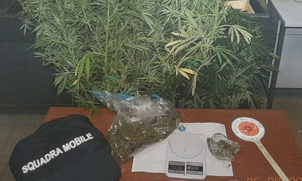 Crotone, sorpreso con un chilo di marijuana in casa: arrestato un 62enne