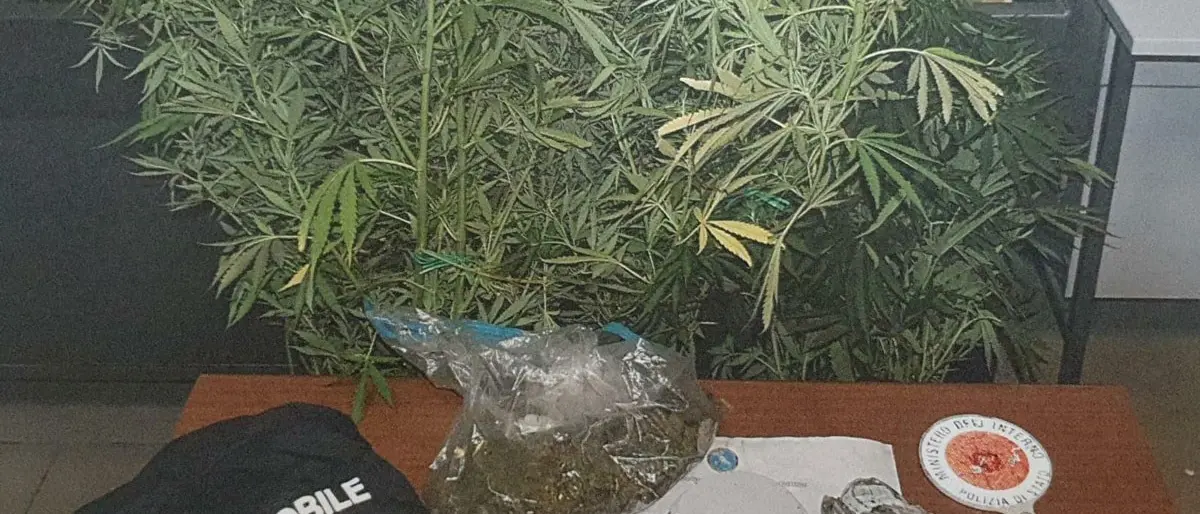 Crotone, sorpreso con un chilo di marijuana in casa: arrestato un 62enne
