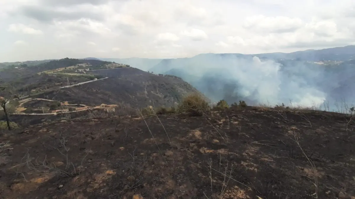 Incendio ad Acri, dopo tre giorni di fuoco la situazione torna tranquilla: ora si contano i danni