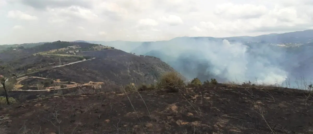 Incendio ad Acri, dopo tre giorni di fuoco la situazione torna tranquilla: ora si contano i danni
