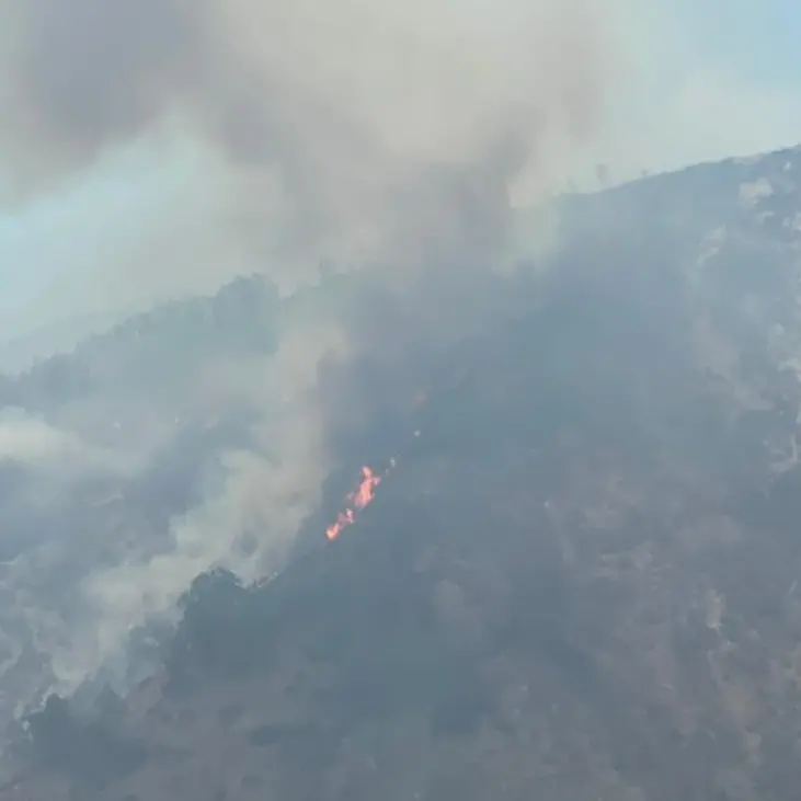 Incendi, il presidente del Parco dell’Aspromonte invoca l’esercito