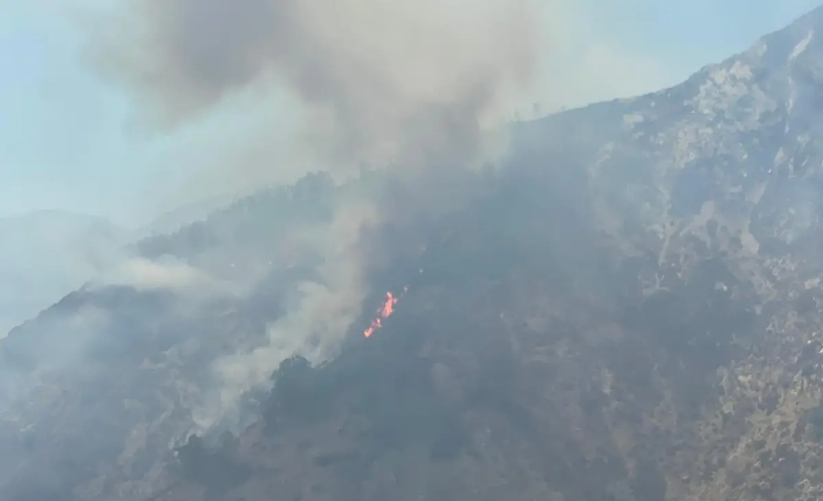 Incendi, il presidente del Parco dell’Aspromonte invoca l’esercito