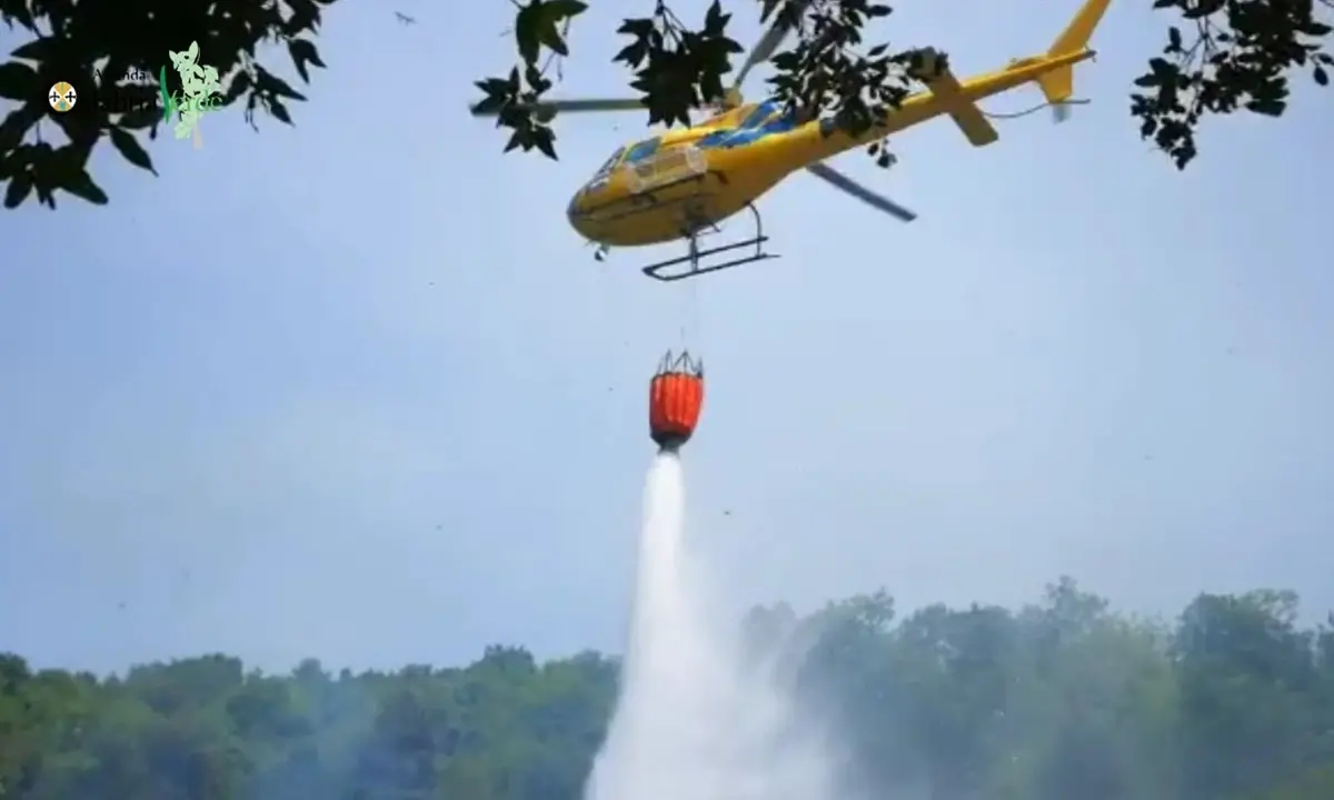 Vasto incendio nel Cosentino: a fuoco le montagne tra Sangineto, Belvedere e Sant’Agata d’Esaro