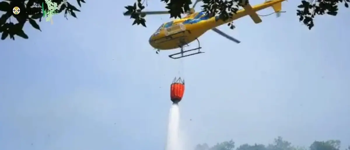Vasto incendio nel Cosentino: a fuoco le montagne tra Sangineto, Belvedere e Sant’Agata d’Esaro