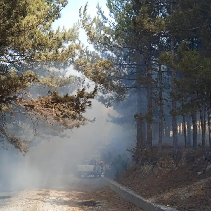 Incendi in Aspromonte, il fuoco minaccia le Foreste vetuste patrimonio Unesco