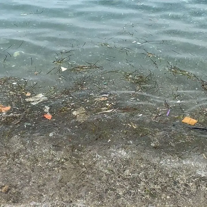 Mare sporco, a Sangineto turisti imbufaliti per le condizioni dell’acqua - VIDEO