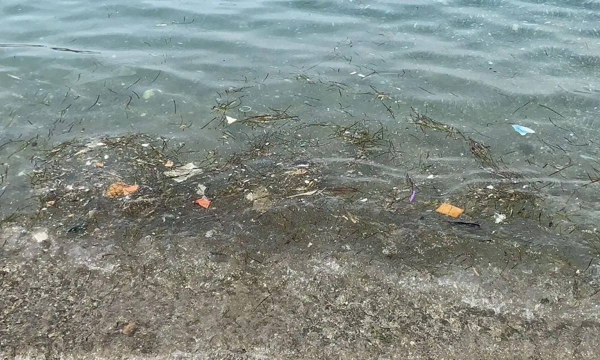 Mare sporco, a Sangineto turisti imbufaliti per le condizioni dell’acqua - VIDEO