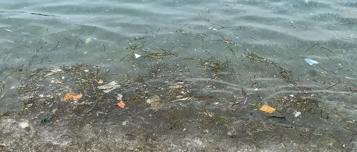 Mare sporco, a Sangineto turisti imbufaliti per le condizioni dell’acqua - VIDEO