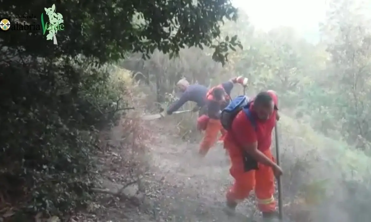 Incendi, Calabria Verde mobilita 2500 operai idraulico-forestali per presidiare il territorio