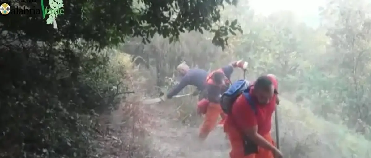 Incendi, Calabria Verde mobilita 2500 operai idraulico-forestali per presidiare il territorio