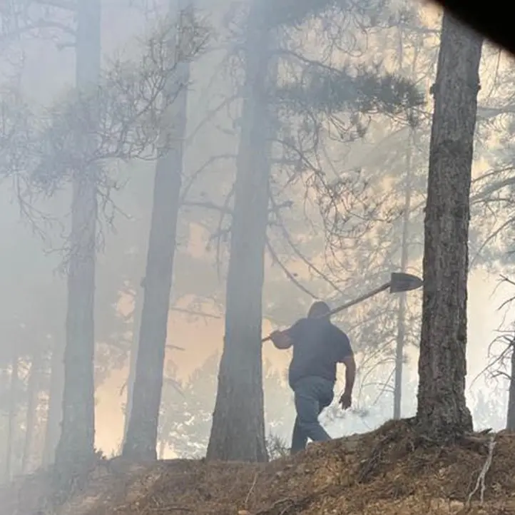 Incendi, l’Aspromonte brucia ancora: «Servono più uomini e mezzi»