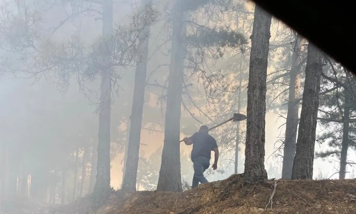 Incendi, l’Aspromonte brucia ancora: «Servono più uomini e mezzi»