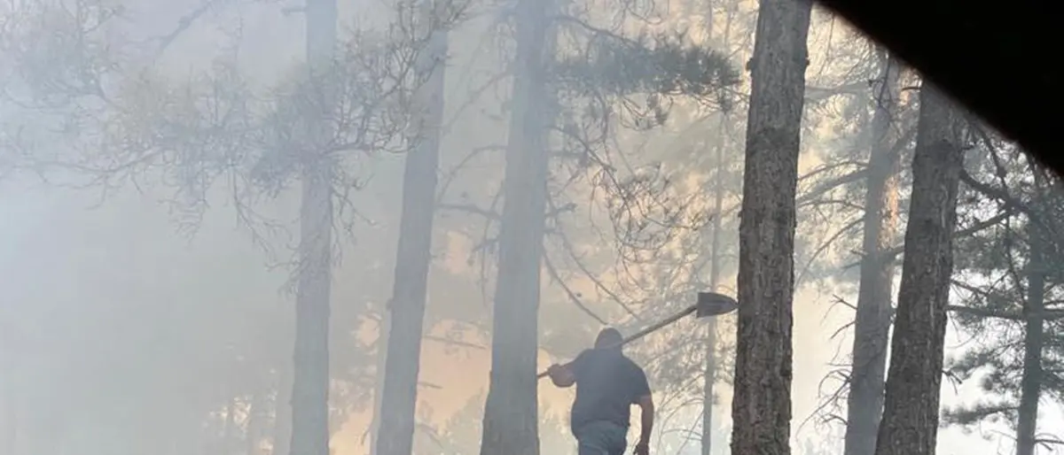 Incendi, l’Aspromonte brucia ancora: «Servono più uomini e mezzi»