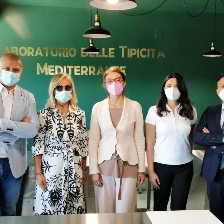 Crotone, il distretto del cibo Terre di Pitagora punta sul turismo dell’olio extravergine