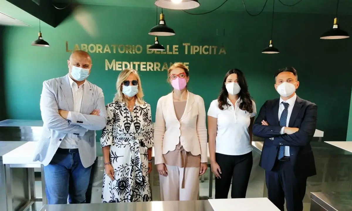 Crotone, il distretto del cibo Terre di Pitagora punta sul turismo dell’olio extravergine