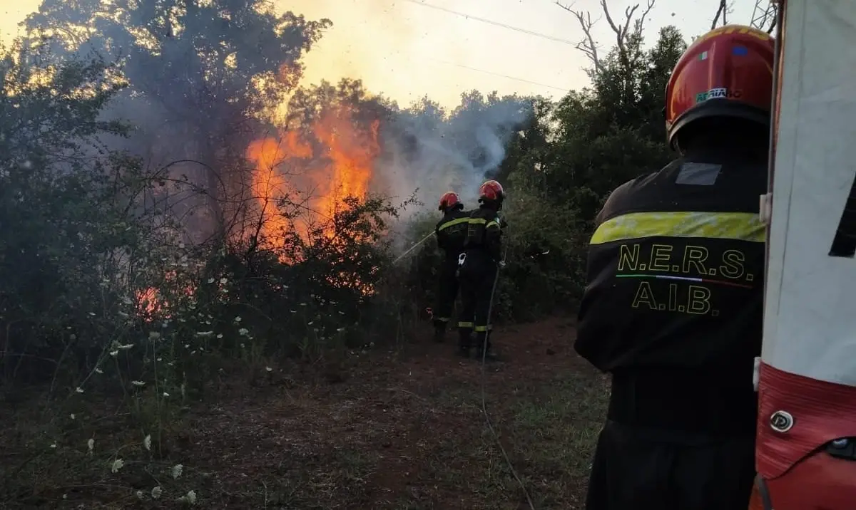 Incendi, roghi nel Reventino: da 48 ore in fiamme la zona boschiva tra Platania e Decollatura