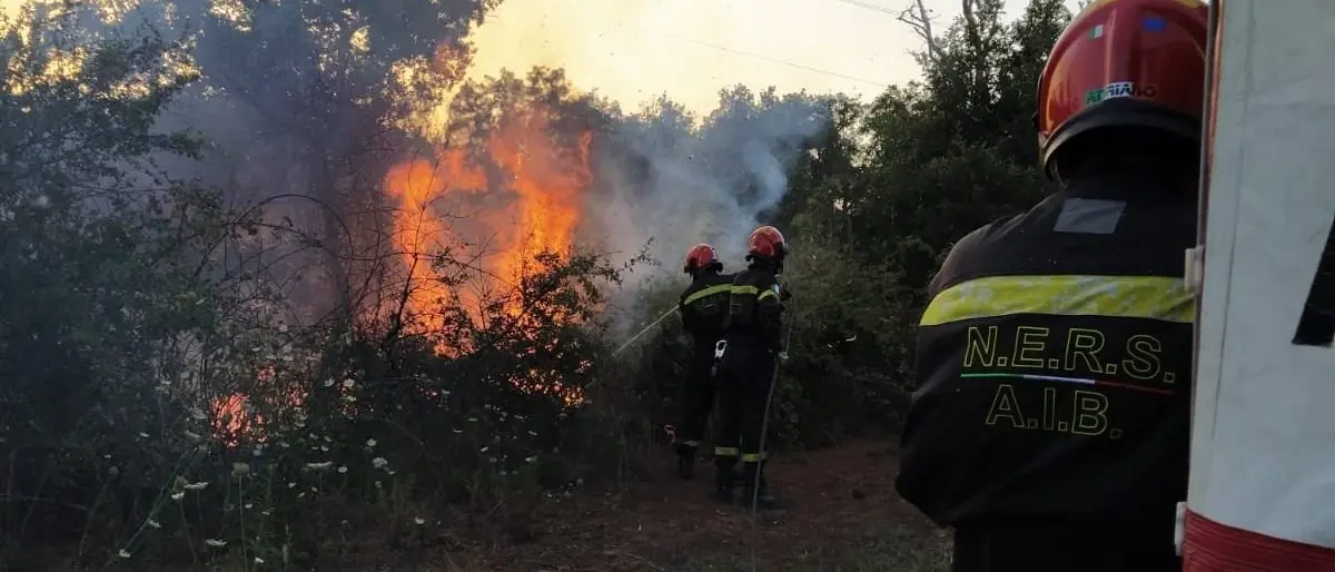 Incendi, roghi nel Reventino: da 48 ore in fiamme la zona boschiva tra Platania e Decollatura