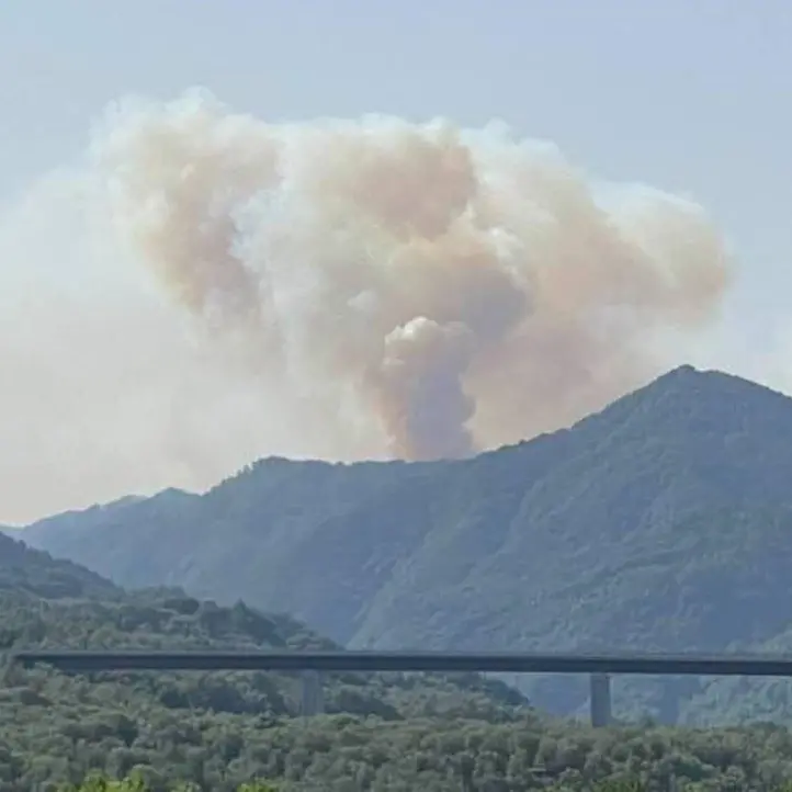 «Il fuoco sta arrivando alle faggete Unesco», incendio sull’Aspromonte: servono uomini e mezzi aerei - LIVE