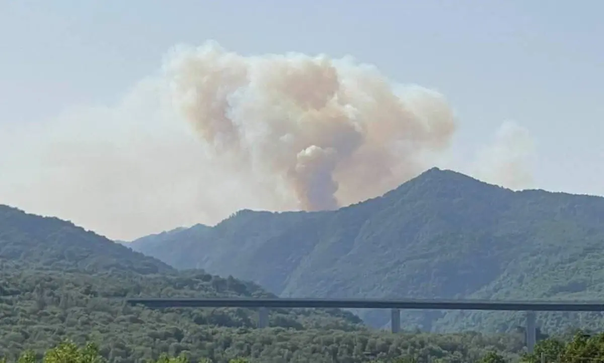 «Il fuoco sta arrivando alle faggete Unesco», incendio sull’Aspromonte: servono uomini e mezzi aerei - LIVE