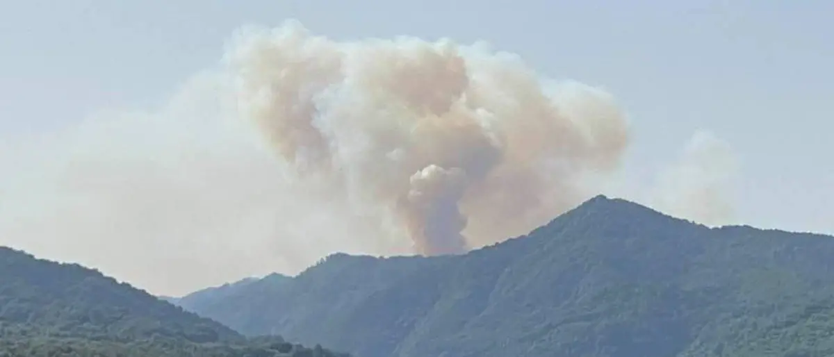 «Il fuoco sta arrivando alle faggete Unesco», incendio sull’Aspromonte: servono uomini e mezzi aerei - LIVE