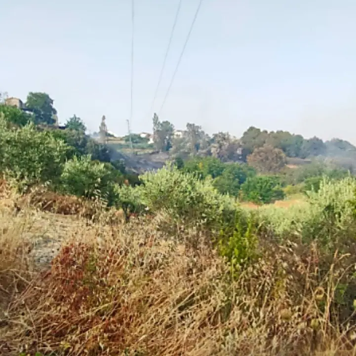 Incendio ad Acquaformosa, spento il fronte di fuoco giunto a ridosso delle case