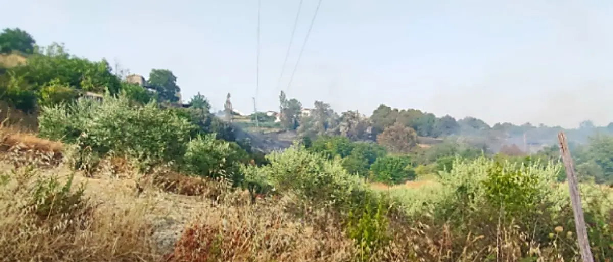 Incendio ad Acquaformosa, spento il fronte di fuoco giunto a ridosso delle case